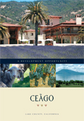 Ceago -Development -Image